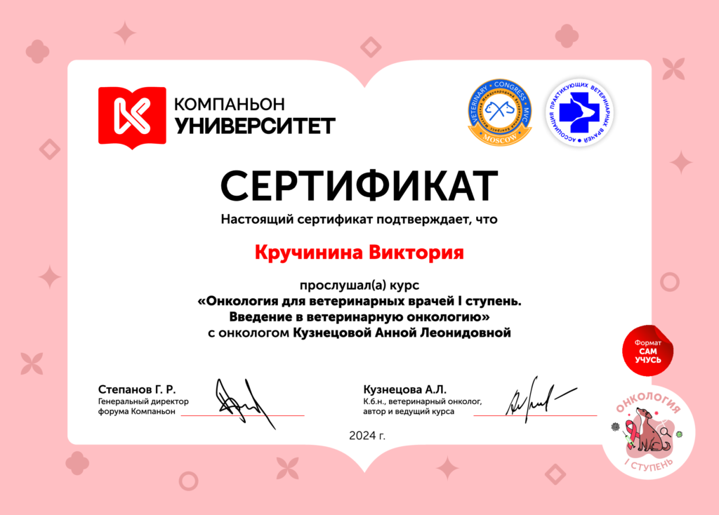 Кручинина Виктория Сергеевна