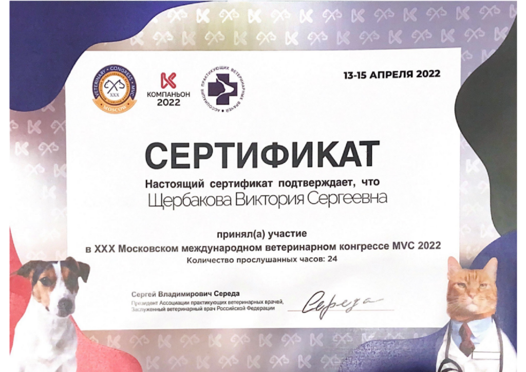 Кручинина Виктория Сергеевна