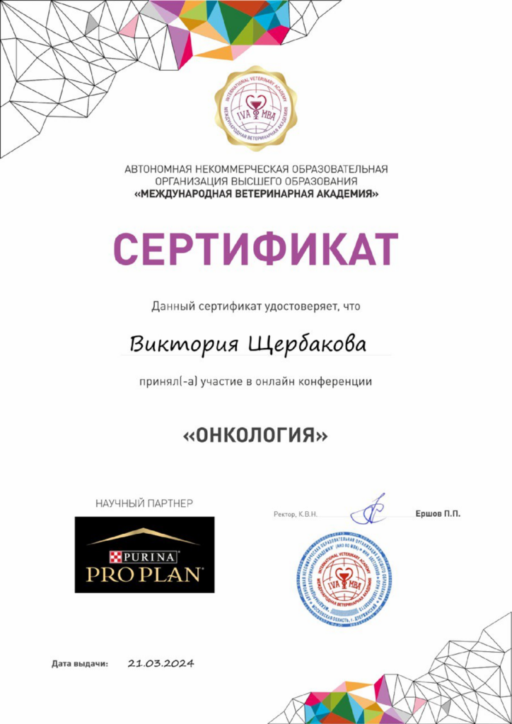 Кручинина Виктория Сергеевна