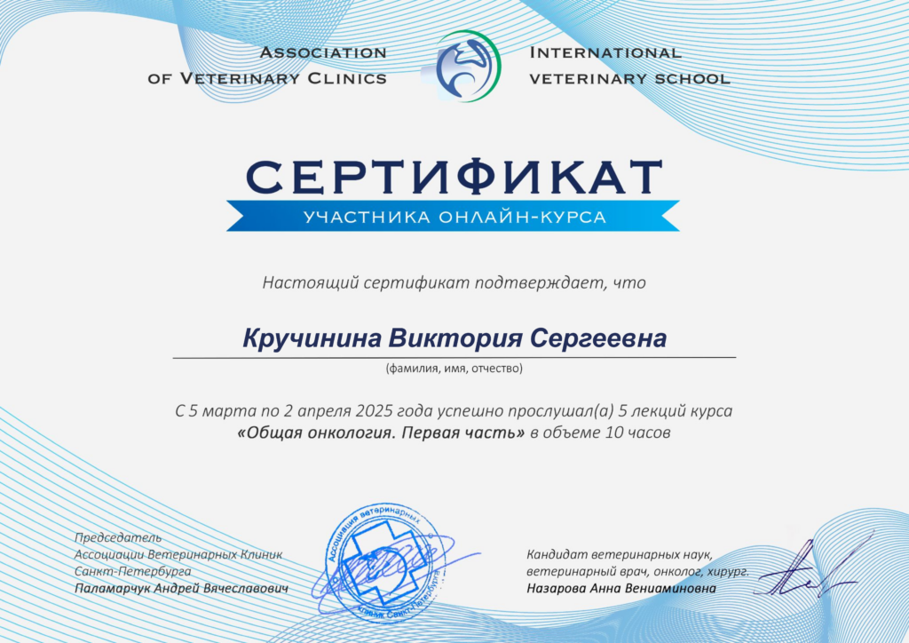 Кручинина Виктория Сергеевна